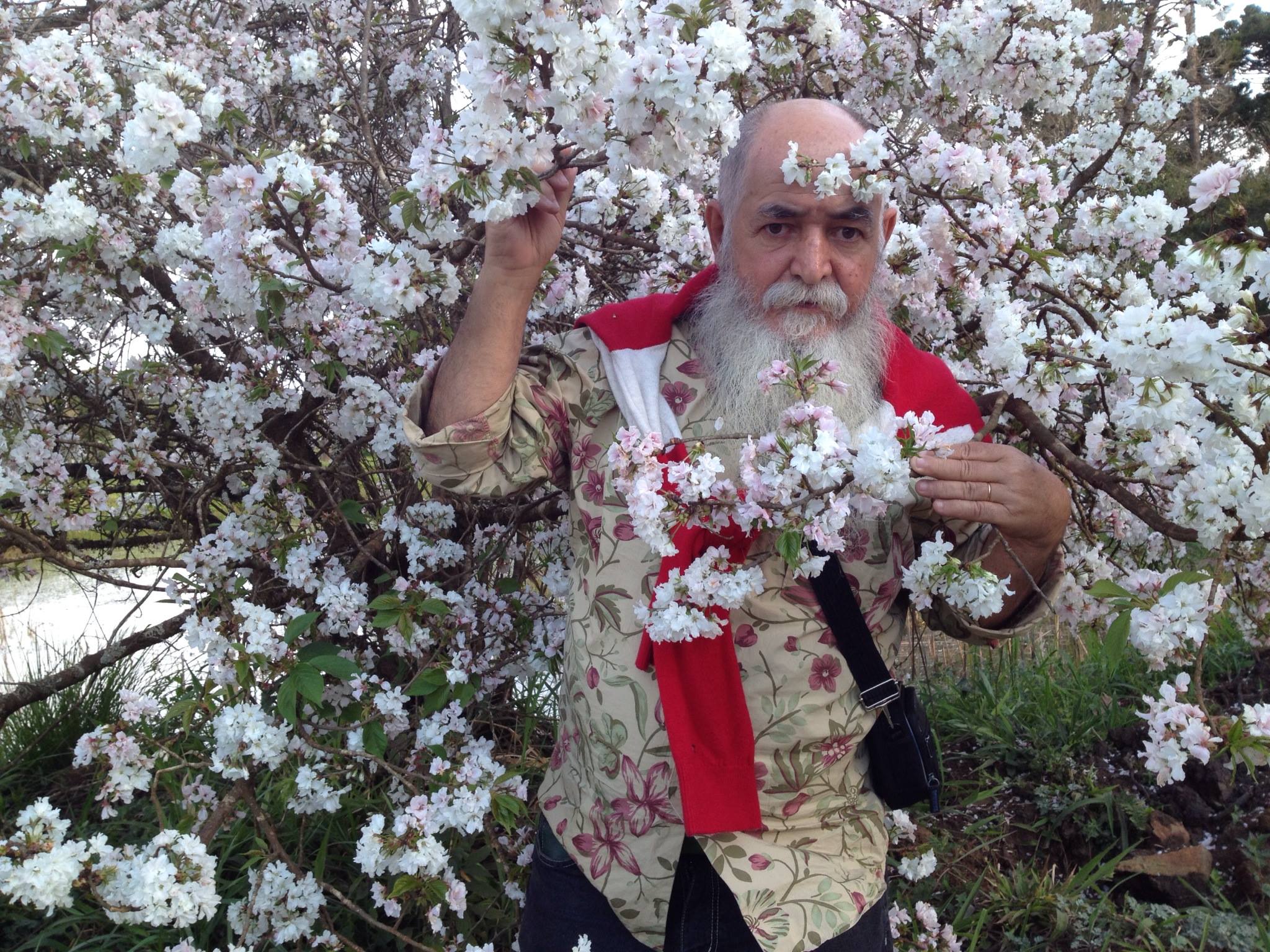 Você está visualizando atualmente Festa da Florada da Cerejeira