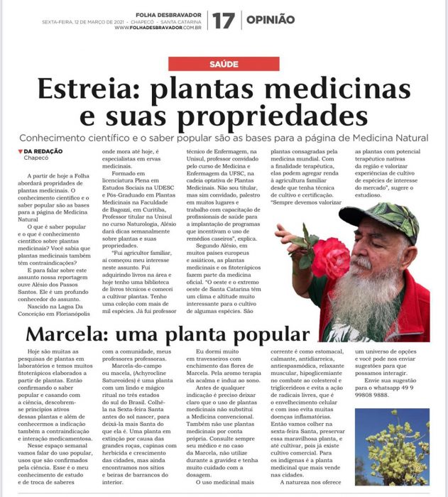 Plantas medicinais e suas propriedades - folha-desbravador