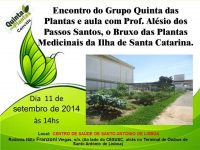 Encontro com o bruxo das plantas medicinais em Florianópolis