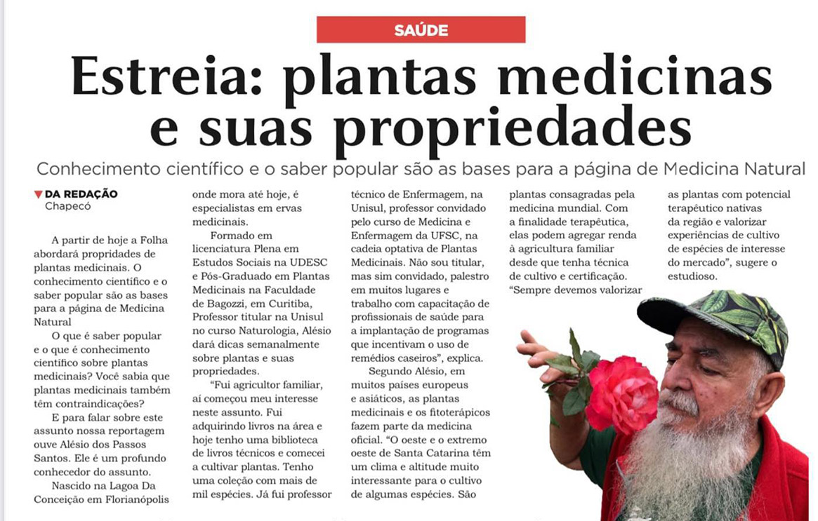 Você está visualizando atualmente Plantas medicinais e suas propriedades- Folha Desbravador