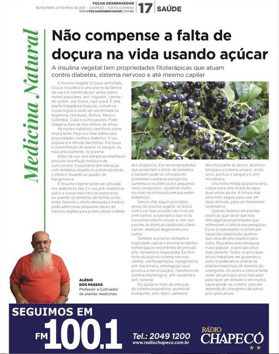 Você está visualizando atualmente Insulina vegetal