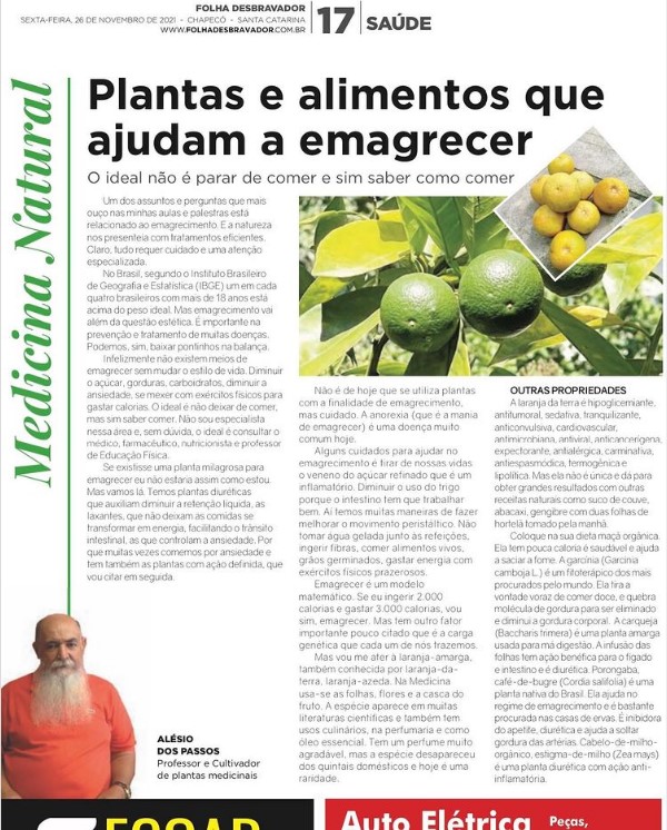 Você está visualizando atualmente Laranja da Terra