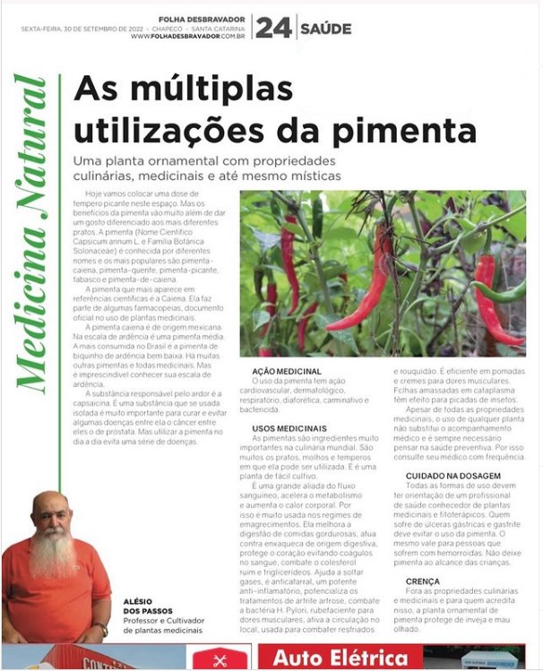 Você está visualizando atualmente Pimenta Capsicum