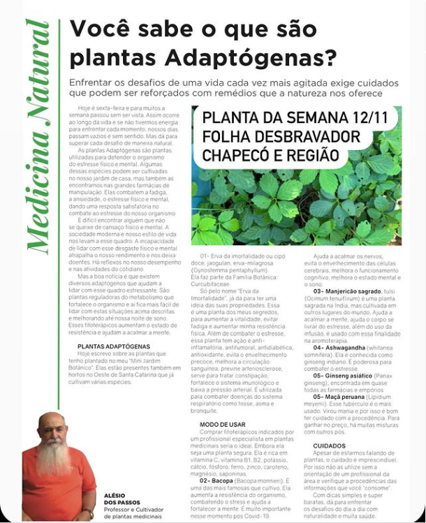 Você está visualizando atualmente Plantas adaptógenas